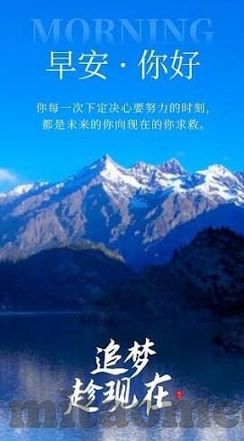 大象传媒app大全-探索大象传媒APP的多元化世界，从娱乐到教育的全面指南